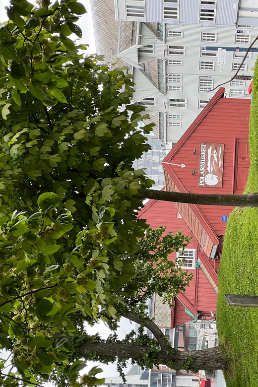 TROMSØ: Explore The City And a Guided Tour Of PolarMuseum! - The port, Skansen, and the road to the museum