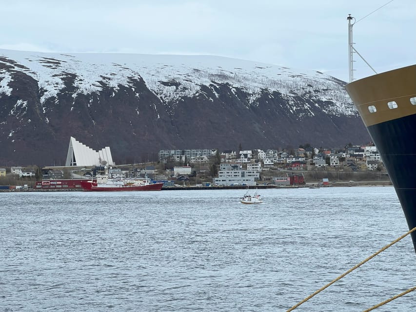 TROMSØ: Explore The City And a Guided Tour Of PolarMuseum! - What $56 includes