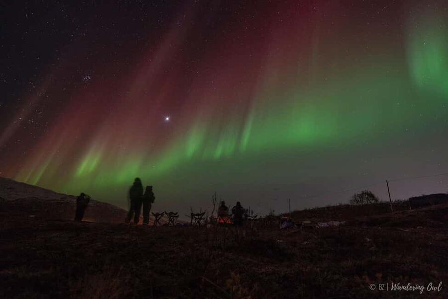 Tromsø: Express Aurora Hunt - Why the midnight return matters in Tromsø