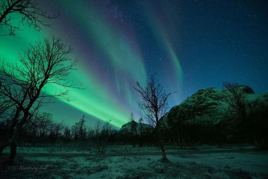 Tromsø: Express Aurora Hunt - The main compromise: less room to chase the sky