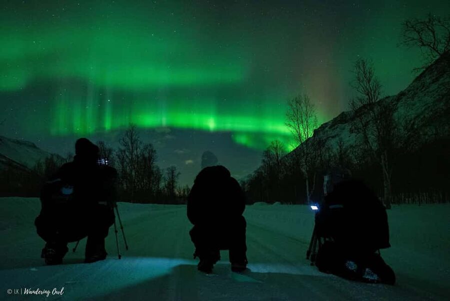 Tromsø: Express Aurora Hunt - Is Tromsø Express Aurora Hunt worth booking?