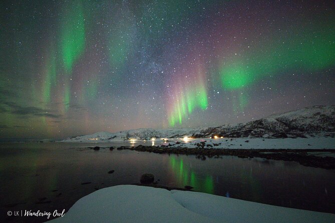 Tromsø: Express Aurora Hunt with Wandering Owl - Key points before you reserve
