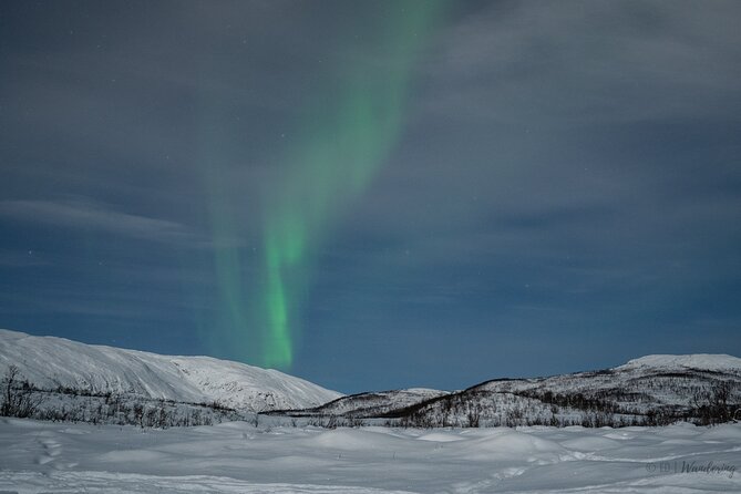 Tromsø: Express Aurora Hunt with Wandering Owl - Weather, cancellations, and the odds of seeing green