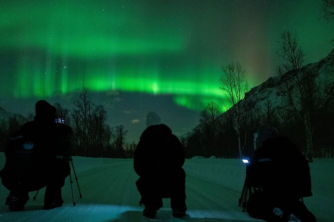 Tromsø: Express Aurora Hunt with Wandering Owl - Meeting at Scandic Ishavshotel in central Tromsø