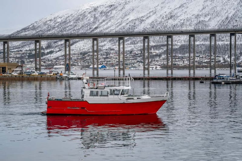 Tromsø: Fishing Sea Safari - Learning how to fish in Arctic water