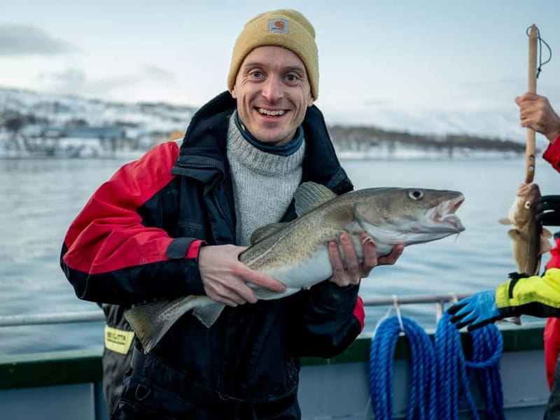 Tromsø: Fishing Sea Safari - What happens when the fish come aboard