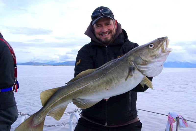 Tromsø: Fishing Sea Safari - Should you book this Tromsø fishing safari?
