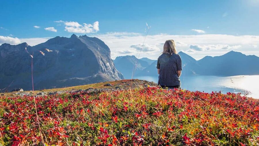 Tromso: Fjord Arctic Adventure Expedition - Beaches, viewpoints, and quiet coastal corners