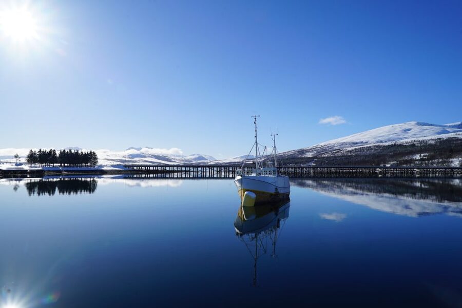 Tromsø: Fjord Cruise by Luxury Yacht - Fishing and a turn at the helm