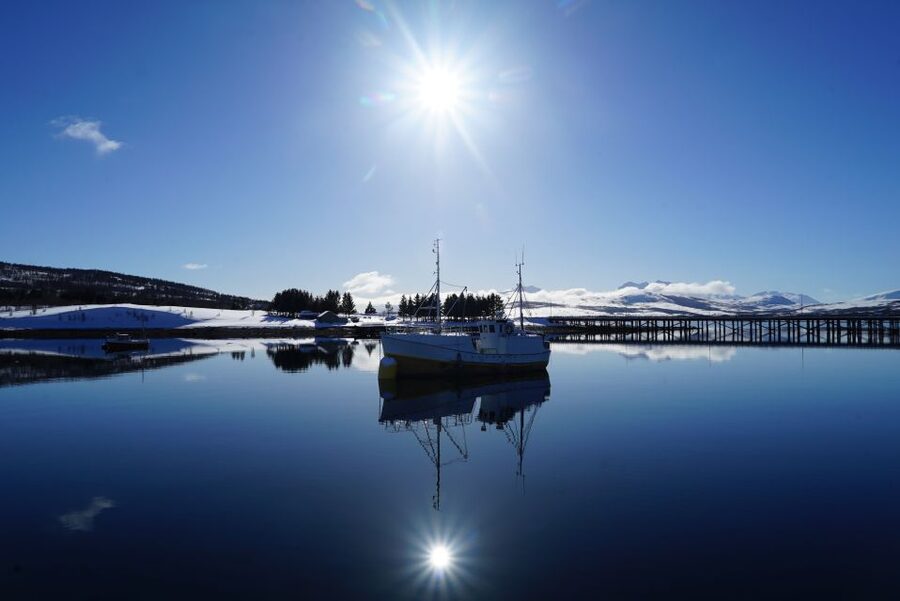 Tromsø: Fjord Cruise by Luxury Yacht - Who will enjoy this trip most?