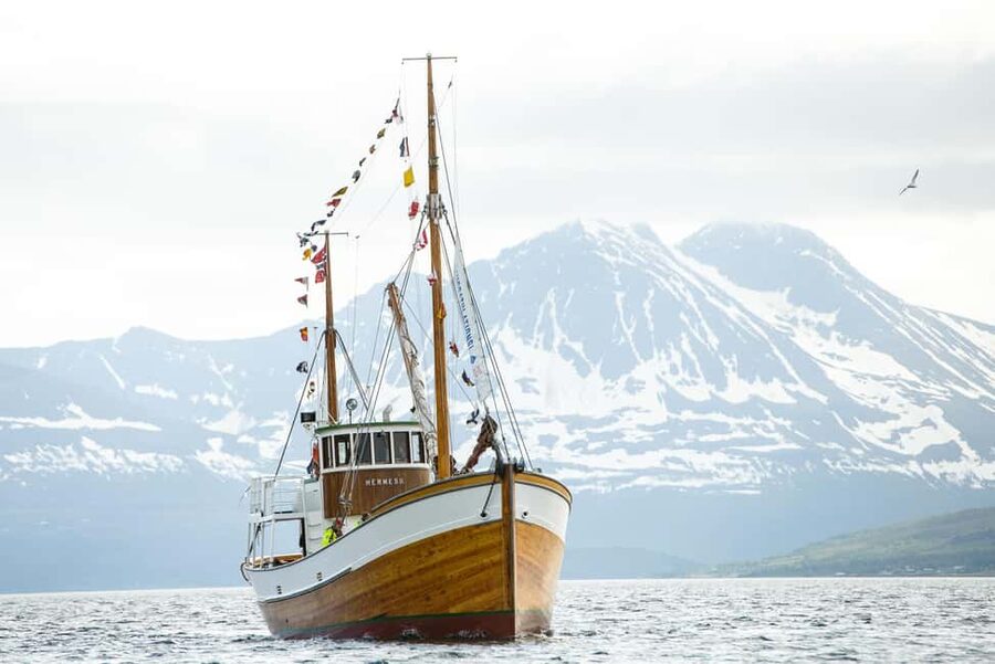 Tromsø: Fjord Fishing Cruise - Practical details that affect your day