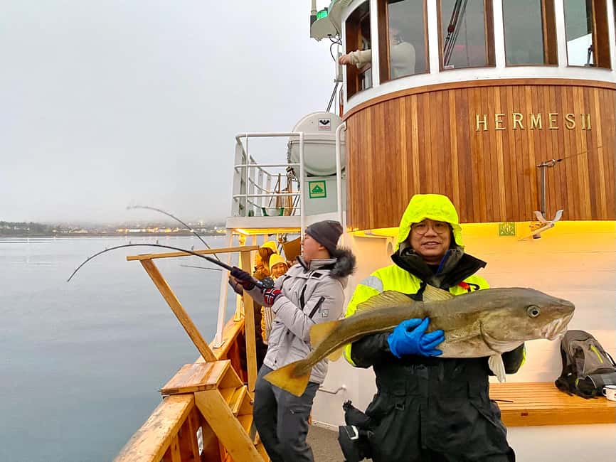 Tromsø: Fjord Fishing Cruise - What happens when you catch a fish