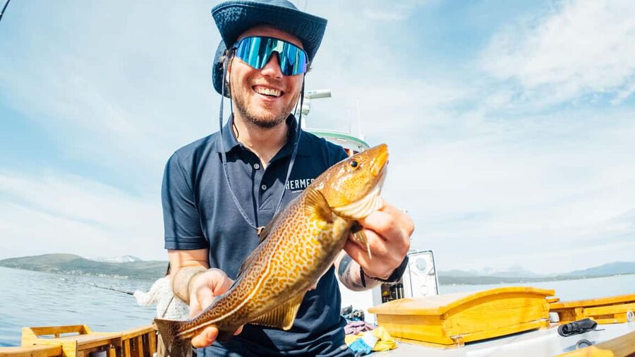 Tromsø: Fjord Fishing Cruise - Is $185 a fair price?
