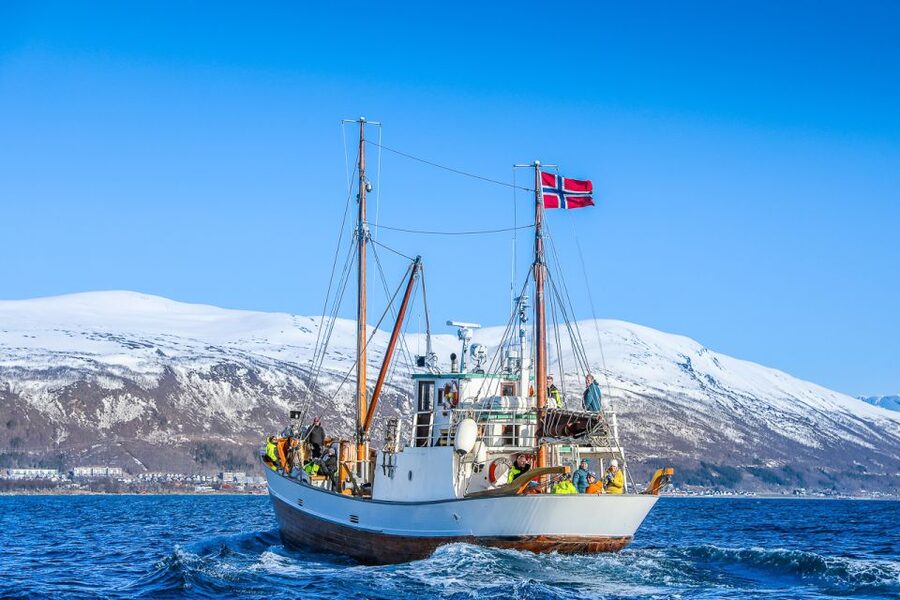 Tromsø: Fjord History Cruise with Snack and Drinks - Stories that give the scenery meaning