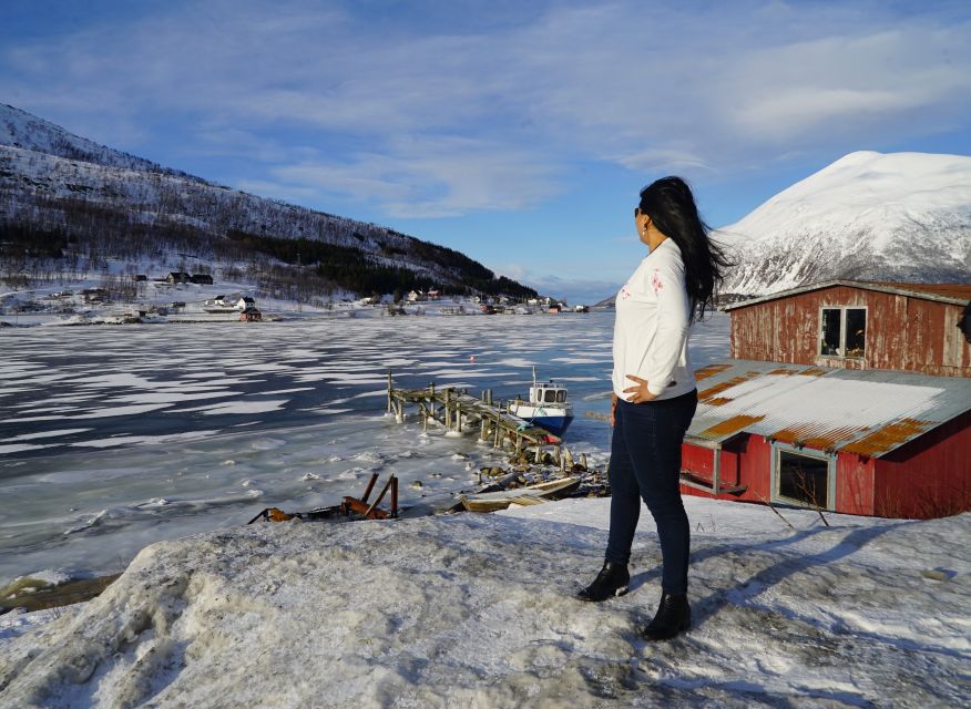 Tromsø: Fjord Sightseeing in a Tesla X Luxury Electric Car - Is $199 a fair price?