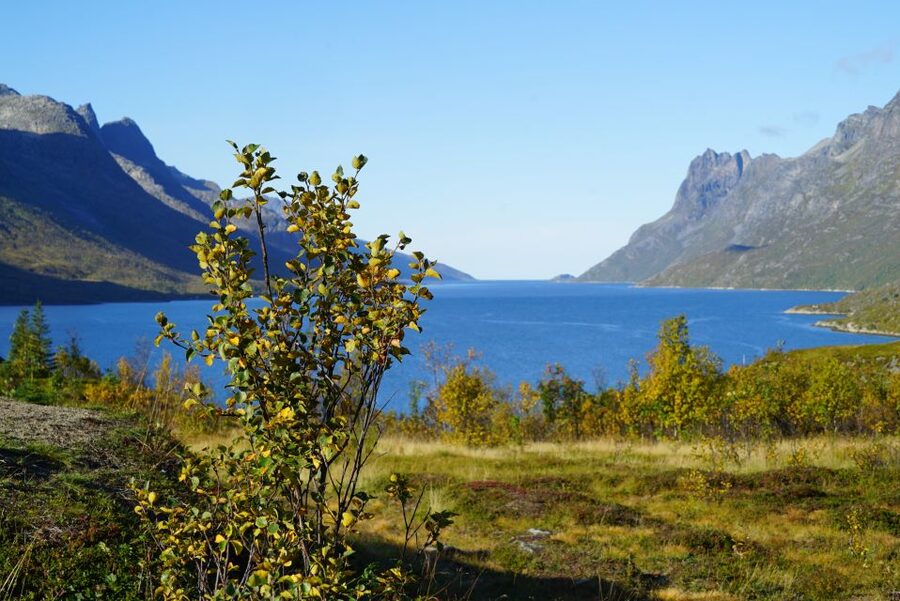 Tromsø: Fjord Sightseeing in a Tesla X Luxury Electric Car - Kaldfjord and the first mountain views