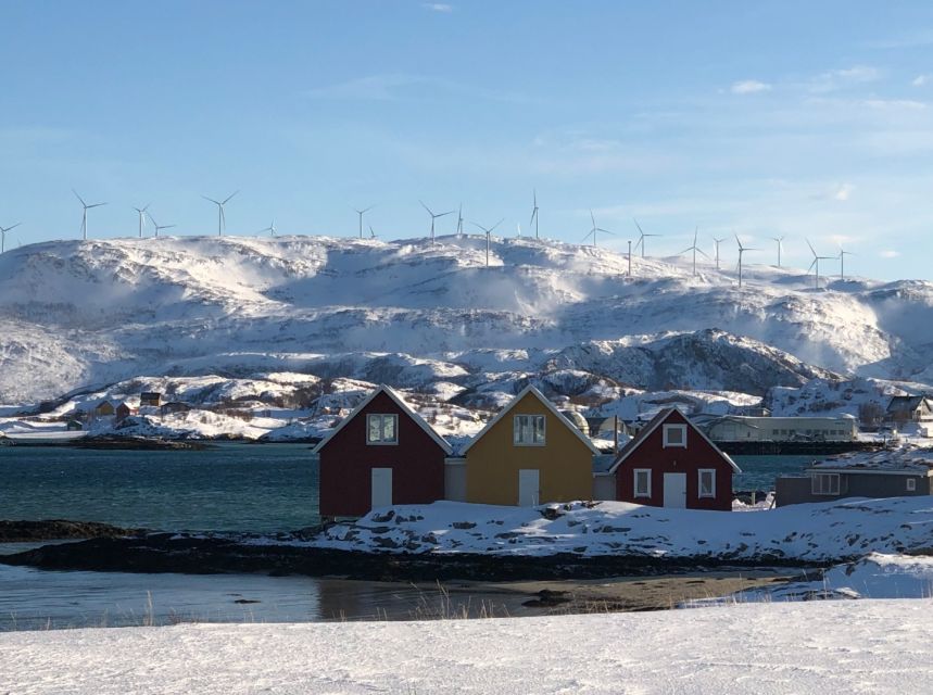 Tromsø: Fjords and Sommarøy Islands Tour with Salmon Picnic - Key points to know before booking