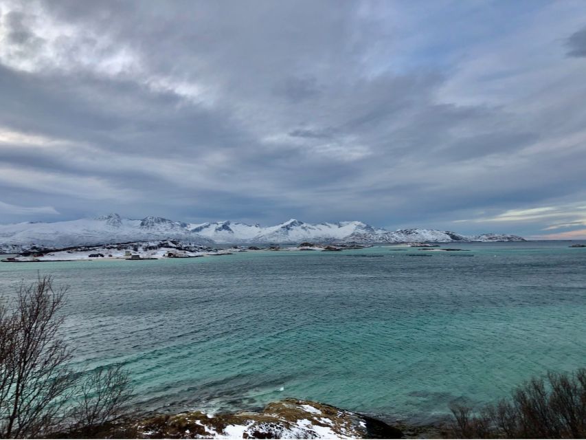 Tromsø: Fjords and Sommarøy Islands Tour with Salmon Picnic - A warm drink and a taste of local produce