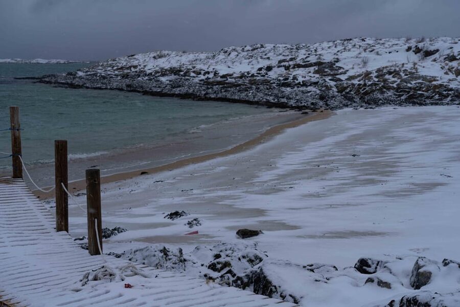 Tromsø: Fjords & Beaches Tour with Campfire and Arctic Food - Who will enjoy this most