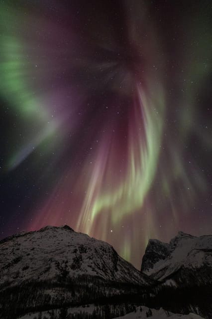 Tromsø: Fjords & Beaches Tour with Campfire and Arctic Food - Wildlife watching without a guarantee
