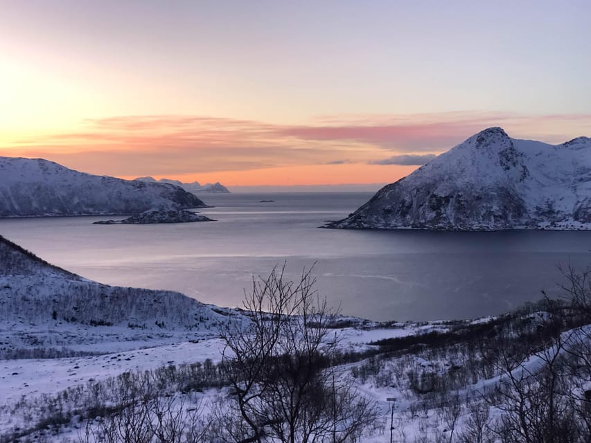 Tromsø: Fjords & Beaches Tour with Campfire and Arctic Food - Chai, cookies, and a warm break