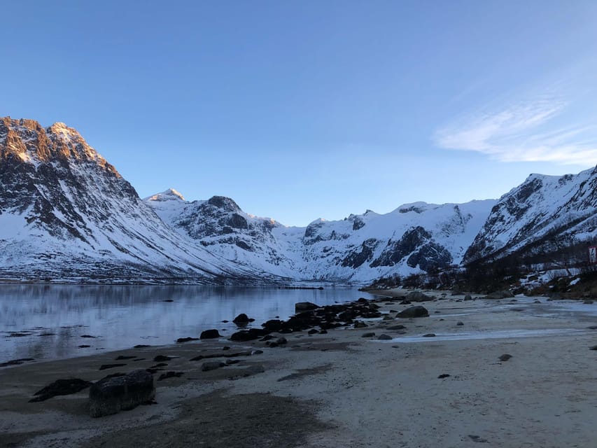 Tromsø: Fjords & Beaches Tour with Campfire and Arctic Food - What $304 buys you