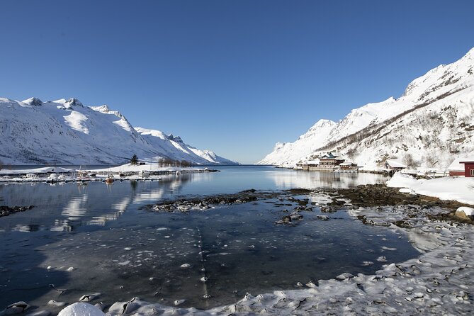 Tromso fjords road trip with fire in grill cabin by the beach. - A small-group format with a practical pace