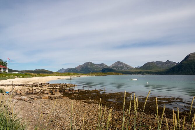 Tromso fjords road trip with fire in grill cabin by the beach. - Weather, clothing, and timing