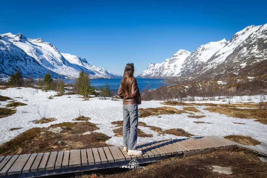 Tromso: Guided Fjord Expedition in Kvaløya with Light Lunch - Short stops make the scenery easier to enjoy