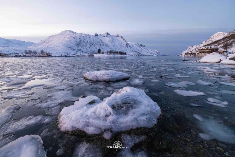 Tromso: Guided Fjord Expedition in Kvaløya with Light Lunch - Wildlife: keep watching between the stops