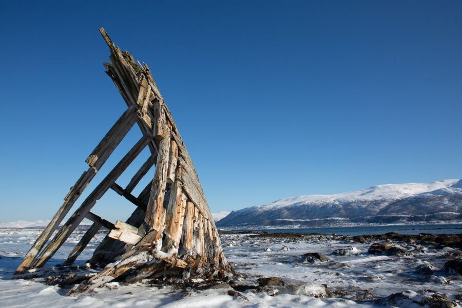 Tromso: Guided Fjord Expedition in Kvaløya with Light Lunch - A warm lunch beside the sea