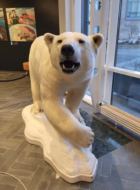 Tromsø: Guided Polar Bear Walk incl. Polaria & Polar Museum - Should you book the polar bear walk?