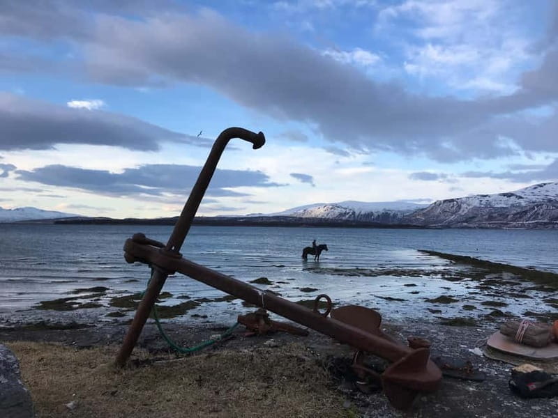 Tromsø: Horseback Riding Tour - Key points at a glance