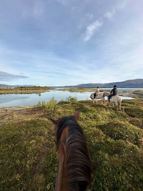 Tromsø: Horseback Riding Tour - Kvaløya’s shore, forest, and winter limits
