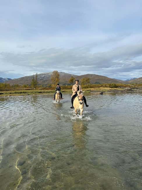 Tromsø: Horseback Riding Tour - Wildlife is possible, not guaranteed