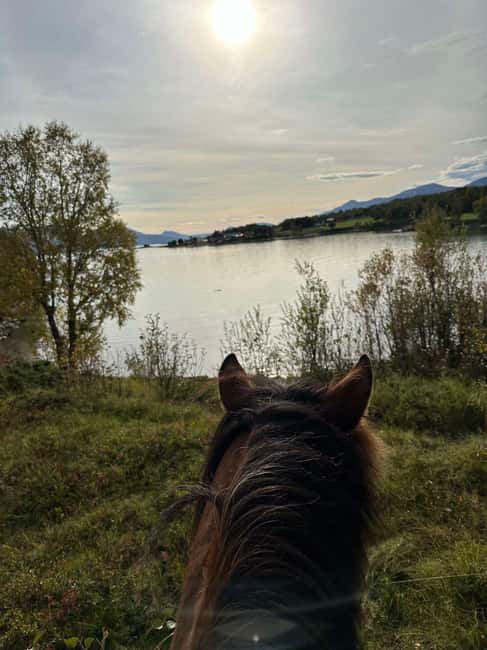 Tromsø: Horseback Riding Tour - The value of $215