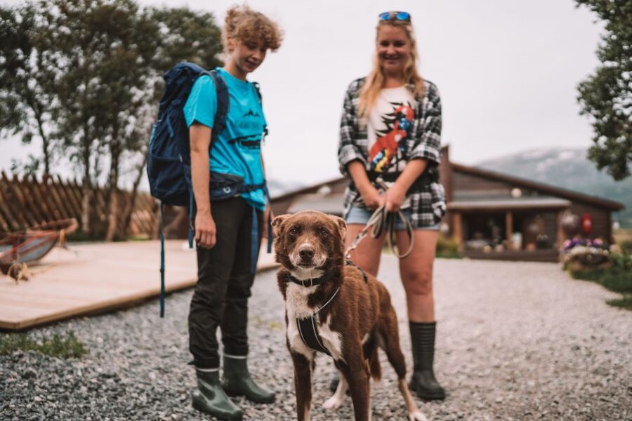 Tromsø: Husky Hike and Puppy Visit with Traditional Lunch - Fjords, mountains, and North Norwegian wildlife