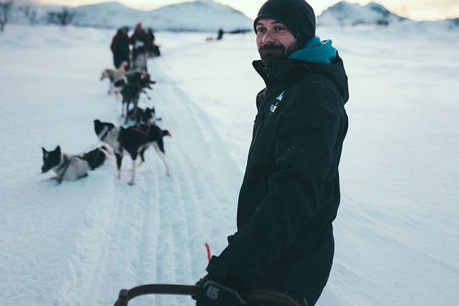 Tromso Husky Self-Drive Sledding with Cake and Drink in Lavvu - Small group, transport, and timing