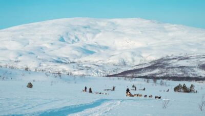 Husky Sled Self-Drive with Traditional Lunch