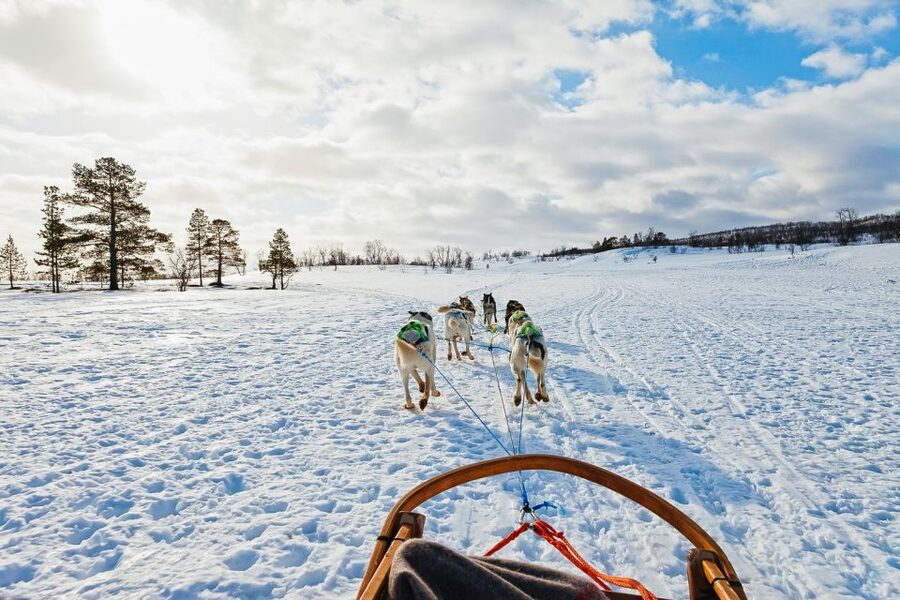 Tromsø: Husky Sled Self-Drive with Traditional Lunch - Small details that make the day easier