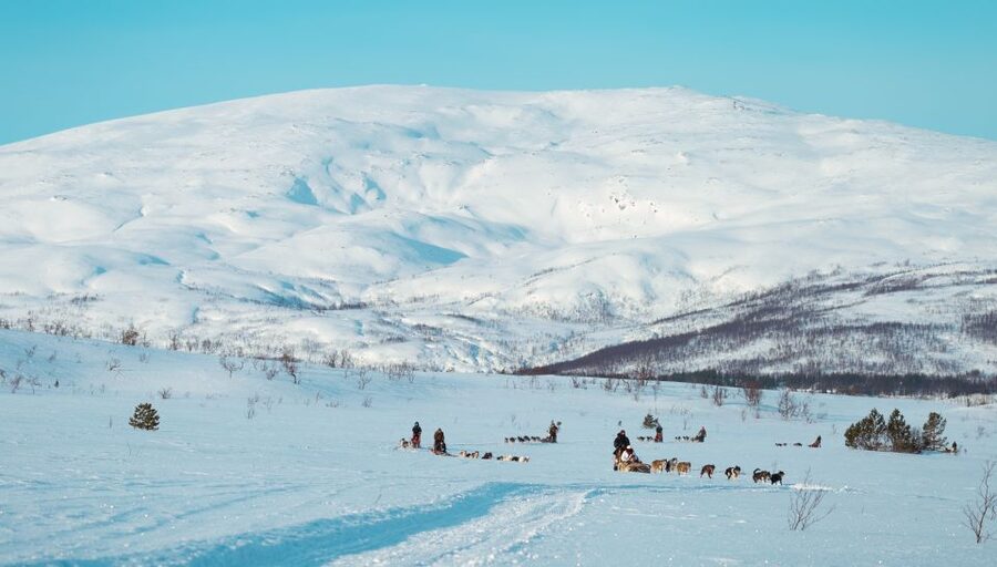 Tromsø: Husky Sled Self-Drive with Traditional Lunch - Getting suited up beside the kennels