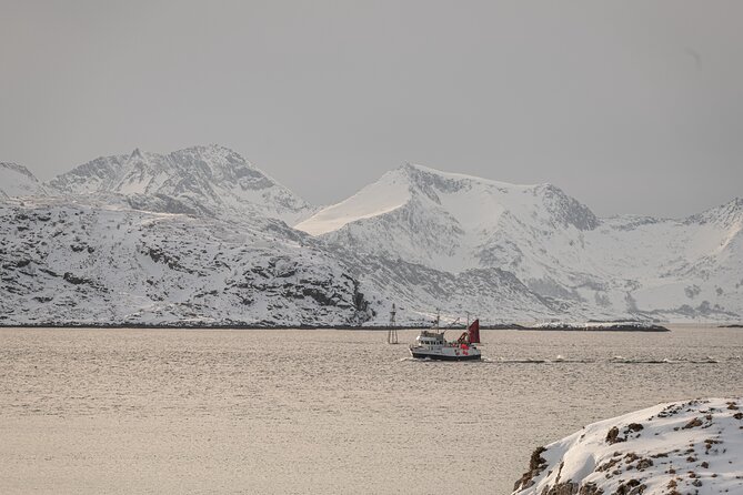 Tromsø: Kvaløya & Sommarøy Guided Fjord Tour with Lunch - Viewpoints, waterfalls, birds, and wildlife