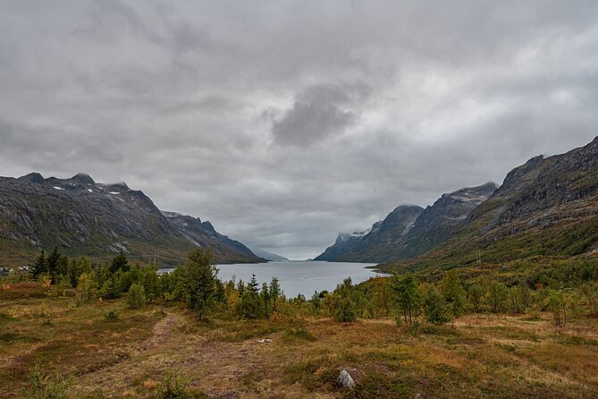 Tromsø: Kvaløya & Sommarøy Guided Fjord Tour with Lunch - Is $181.50 a fair price?