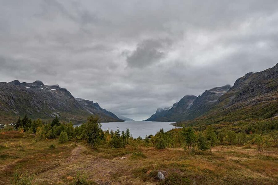 Tromsø: Kvaløya & Sommarøy Guided Tour - Who will enjoy this Sommarøy trip most