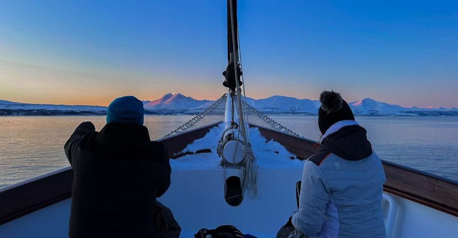 Tromsø: Luxury Polar Fjord Cruise w/ Hot Tub & Polar Plunge - Why this cruise feels different from a standard fjord outing