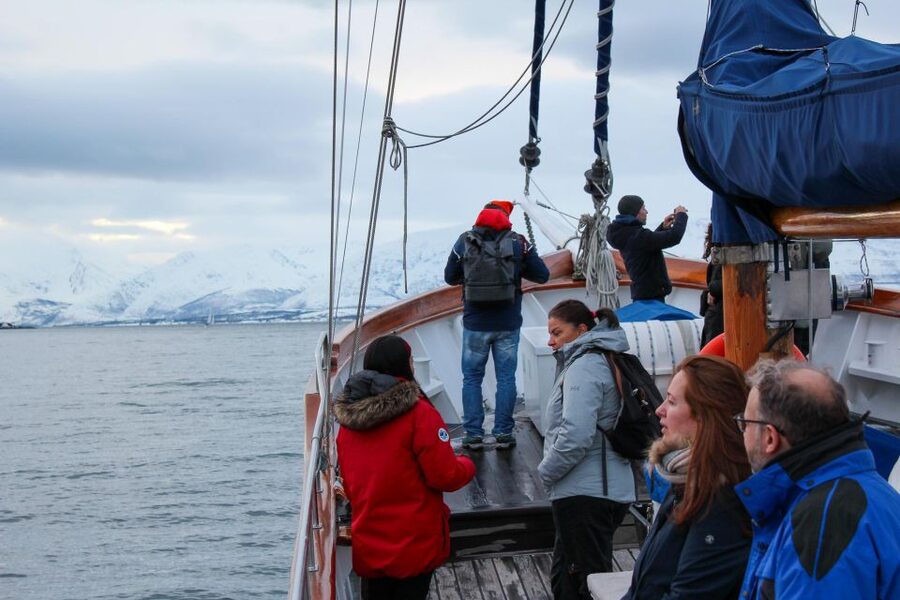 Tromsø: Luxury Polar Fjord Cruise w/ Hot Tub & Polar Plunge - Wildlife watching without false promises