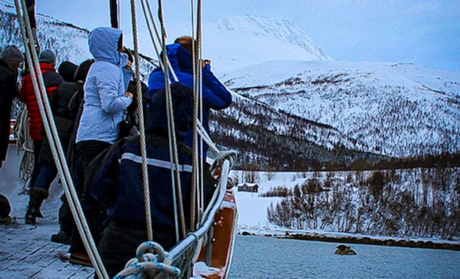 Tromsø: Luxury Polar Fjord Cruise w/ Hot Tub & Polar Plunge - What $281 represents in practical value