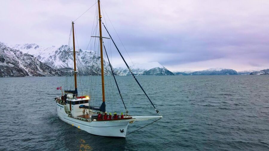 Tromsø: Luxury Polar Fjord Cruise w/ Hot Tub & Polar Plunge - Meeting Stella Oceana at Fiskekompaniet