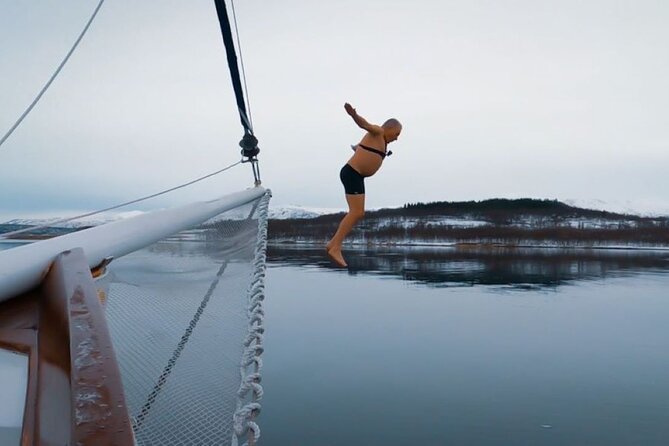 Tromso Luxury Sailing Yacht Polar Fjord Cruise with Lunch - A yacht that works in bad weather