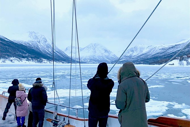 Tromso Luxury Sailing Yacht Polar Fjord Cruise with Lunch - How it compares with a bus fjord tour